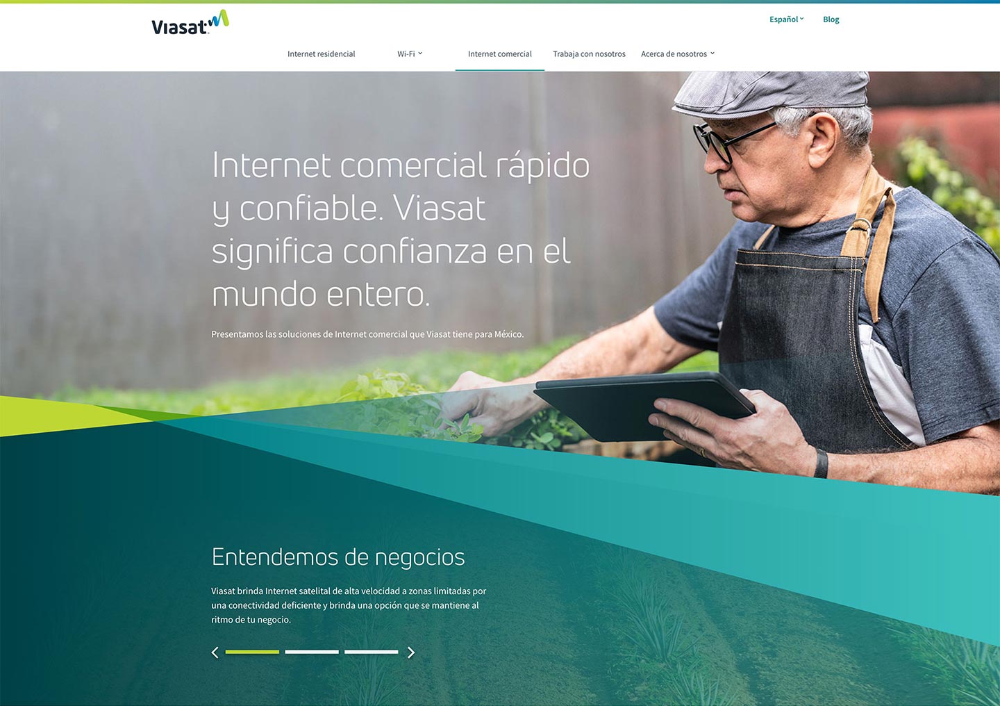 Mexico Internet Website